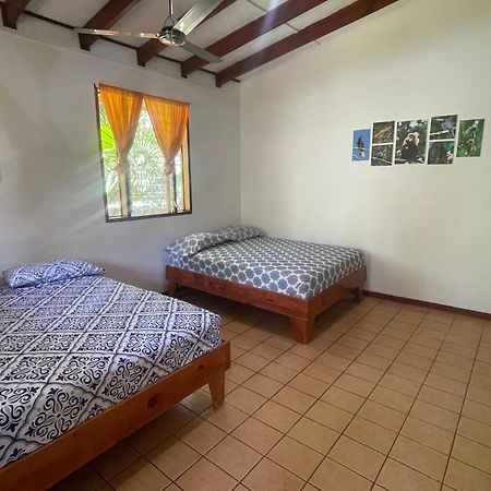 Cabinas Caribe Luna Cahuita Ngoại thất bức ảnh