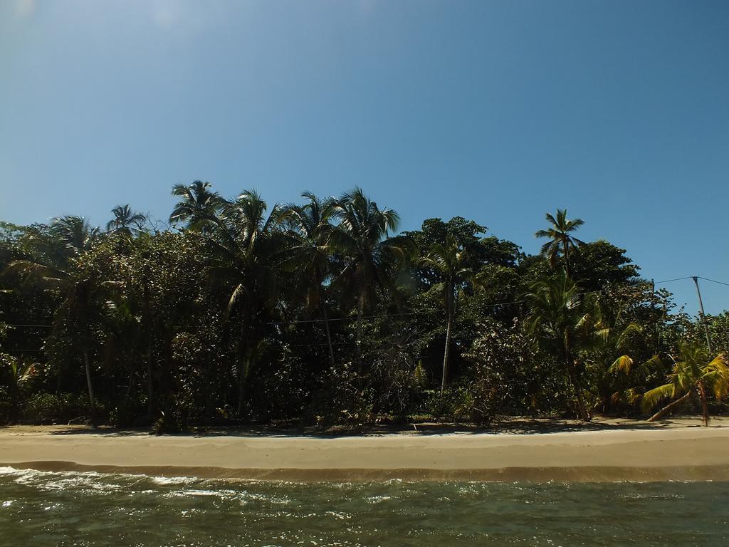 Cabinas Caribe Luna Cahuita Ngoại thất bức ảnh