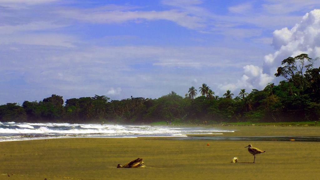 Cabinas Caribe Luna Cahuita Ngoại thất bức ảnh