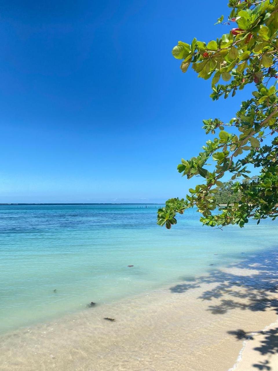 Cabinas Caribe Luna Cahuita Ngoại thất bức ảnh
