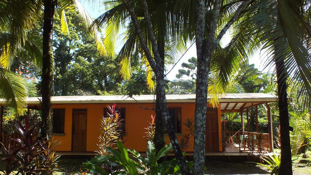 Cabinas Caribe Luna Cahuita Ngoại thất bức ảnh