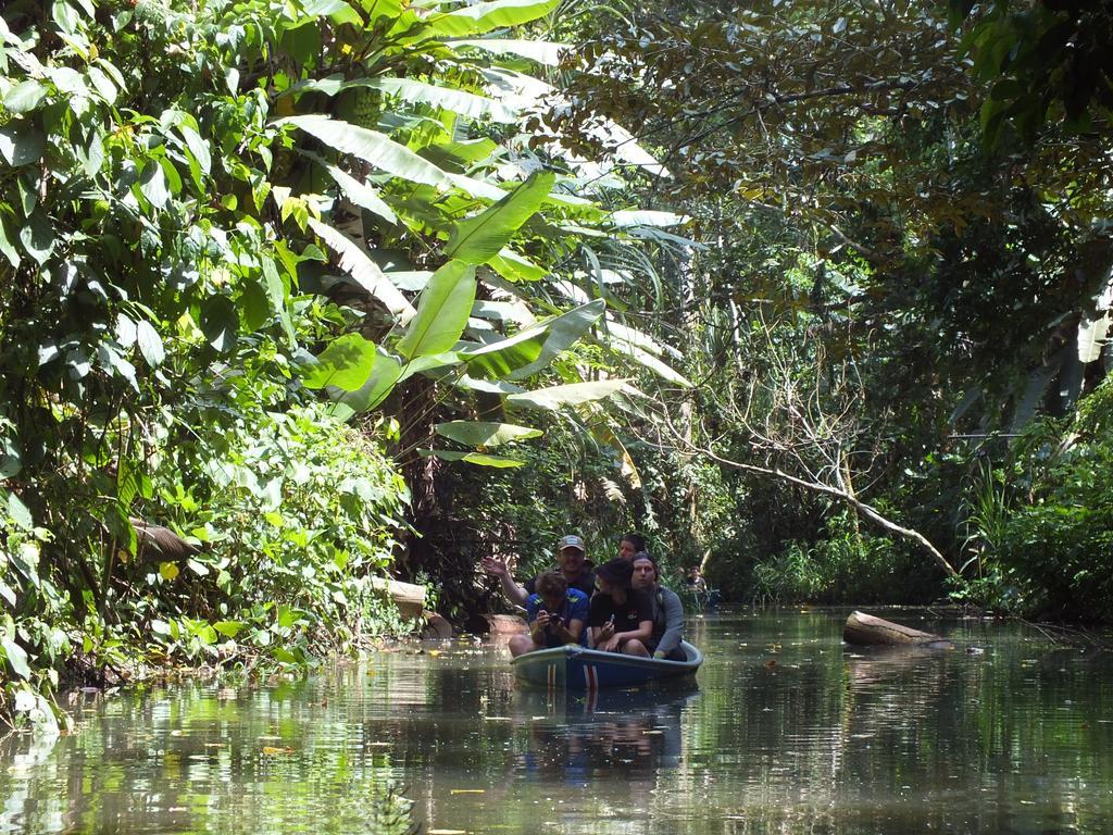 Cabinas Caribe Luna Cahuita Ngoại thất bức ảnh