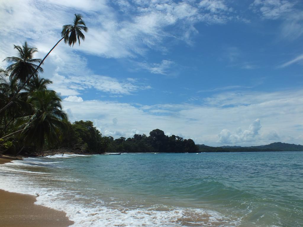 Cabinas Caribe Luna Cahuita Ngoại thất bức ảnh
