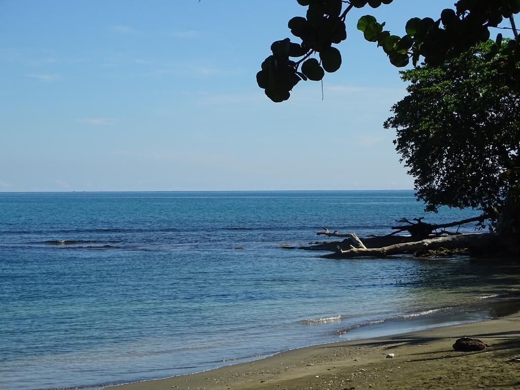 Cabinas Caribe Luna Cahuita Ngoại thất bức ảnh