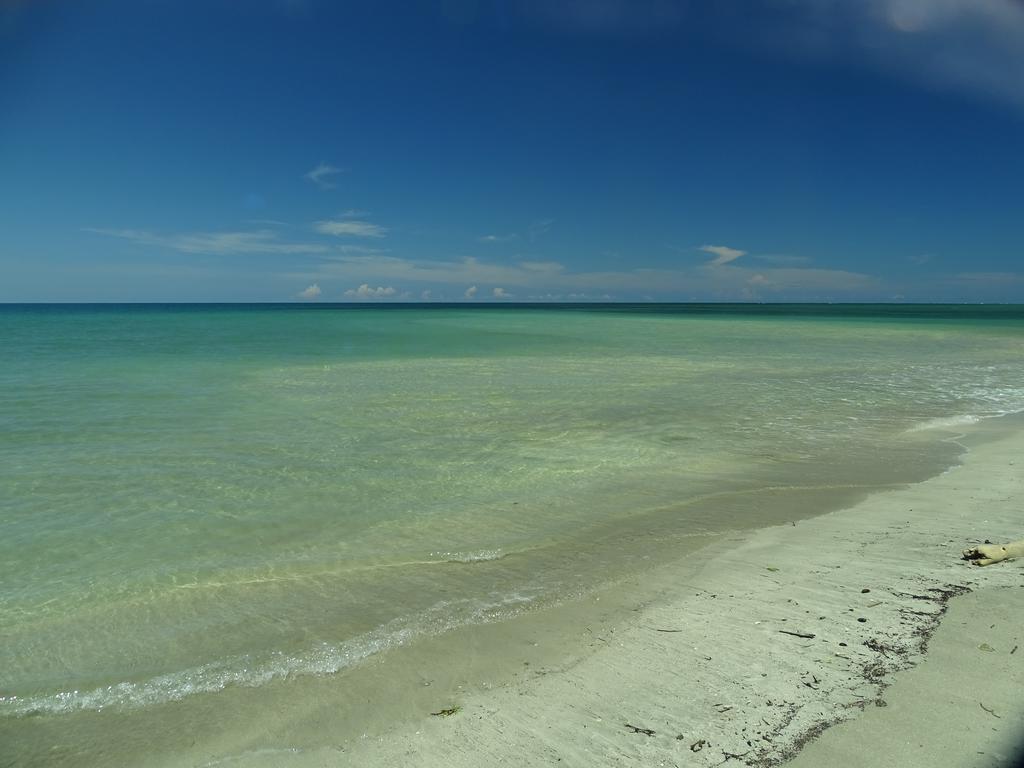 Cabinas Caribe Luna Cahuita Ngoại thất bức ảnh