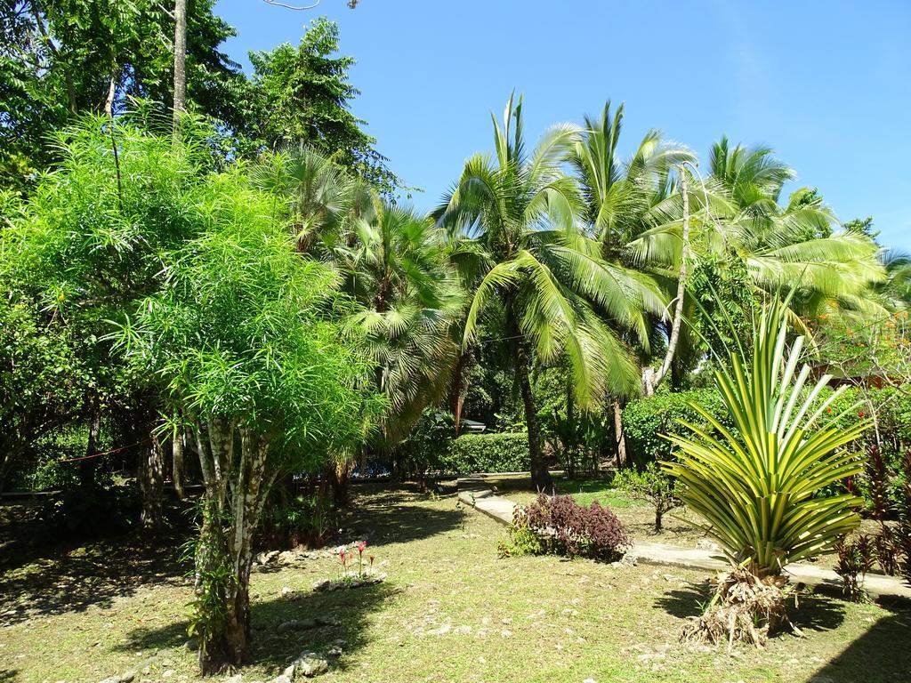 Cabinas Caribe Luna Cahuita Ngoại thất bức ảnh