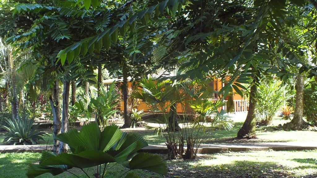 Cabinas Caribe Luna Cahuita Ngoại thất bức ảnh